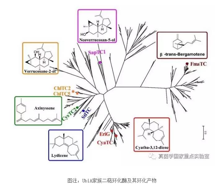 圖片關鍵詞