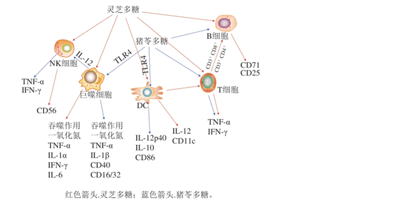 圖片關(guān)鍵詞